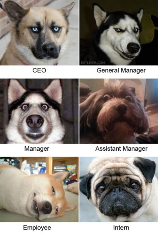 O_o