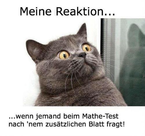 Meine Reaktion wenn jemand beim Mathe-Test - Win Bild