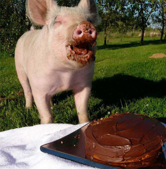 Mhhh Lecker