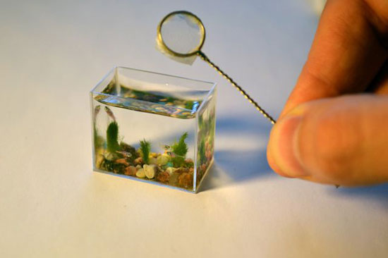 miniaquarium