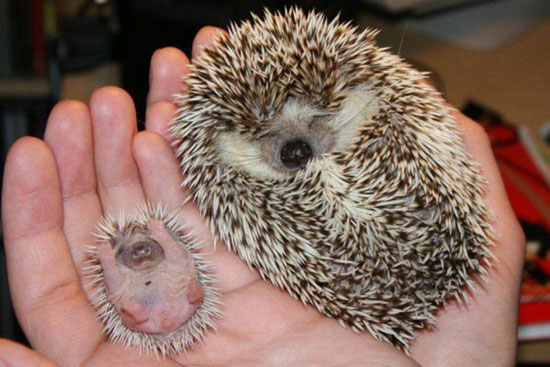 momy and baby
