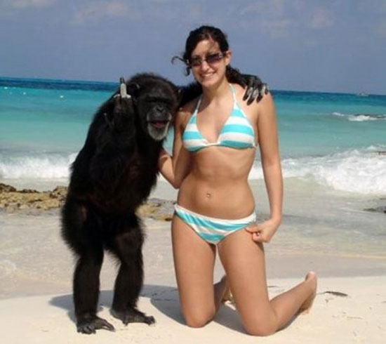 monkey business