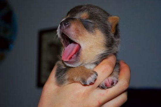 Morgaeaeaehhhhn