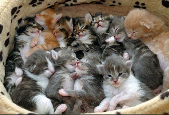 move over thats my spot