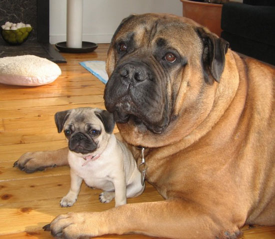 my brother from another mother