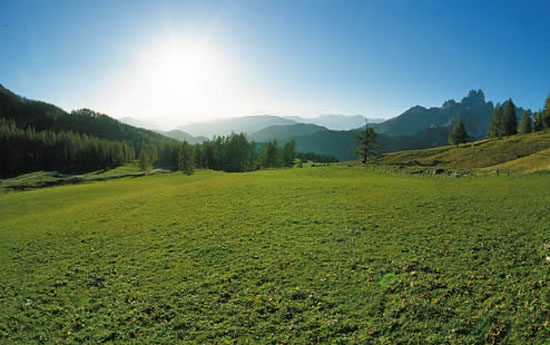 natur