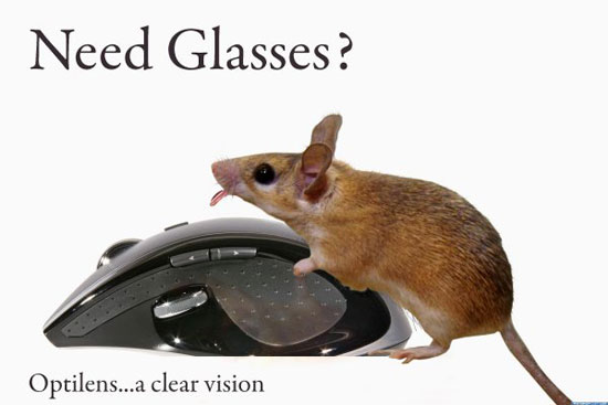 need glasses 4848