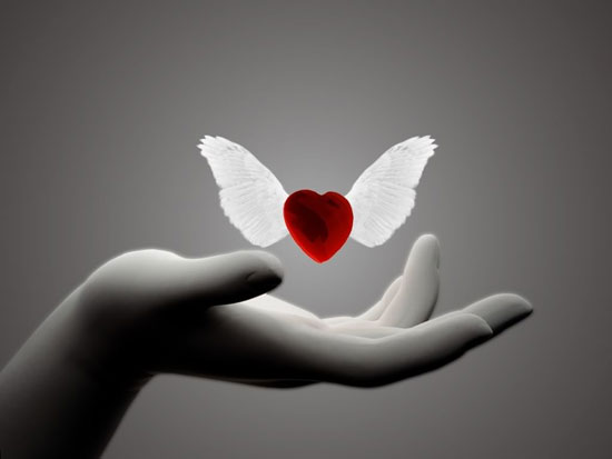 NEXT-2-HEART-HAND