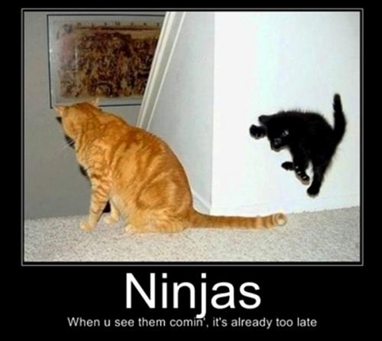 Ninjas, wenn du sie kommen siehst, ist es bereits zu spät - DeMotivational Bild