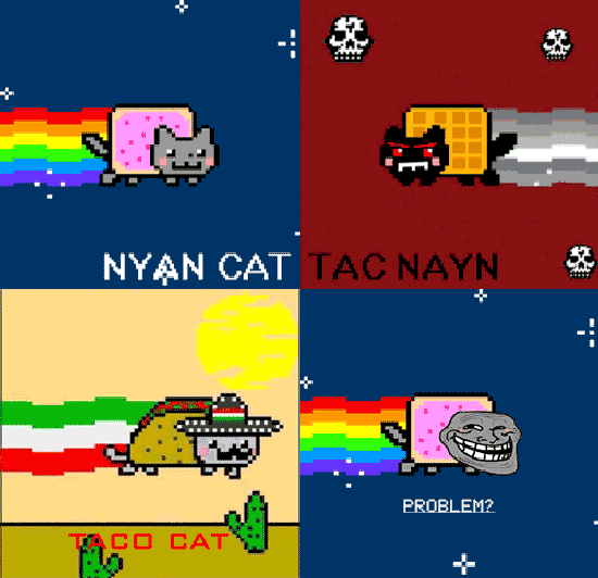 nyan-nyan-cat-Favim