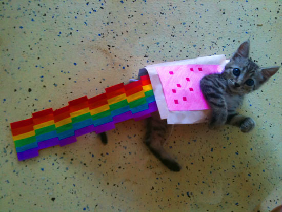 nyancat