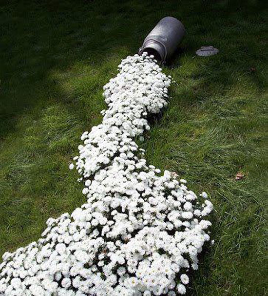 Ohhh shit alle Blumen ausgeschüttet