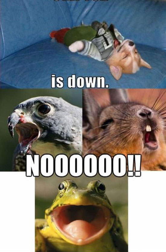 Ohhhhh nooooo