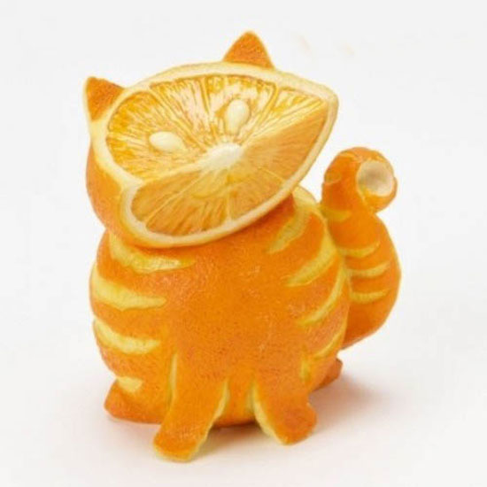 orangenkatze-Kopie