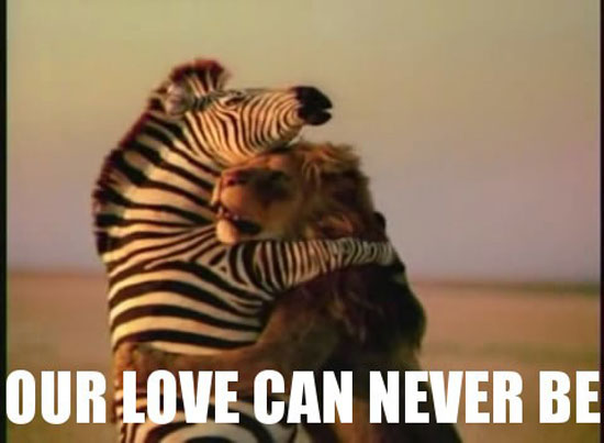 our lovehellip