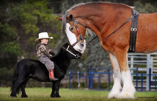 outmatched