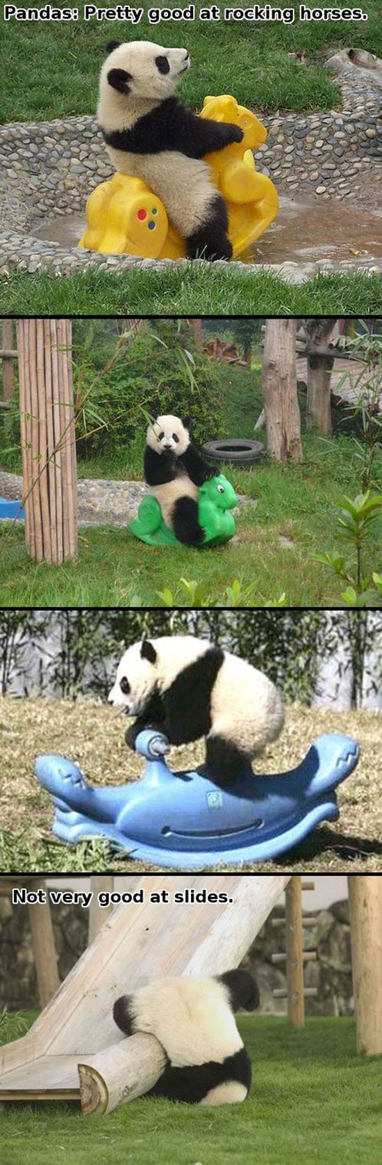 pandas good at rocking horses