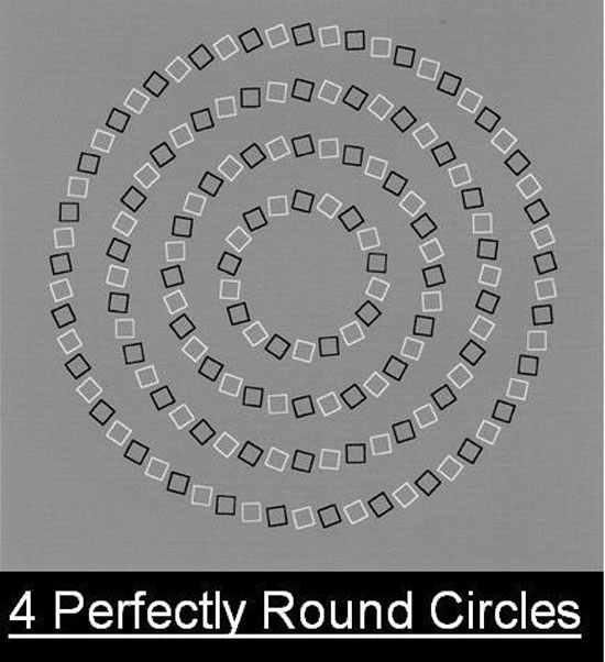 perfectly round circles