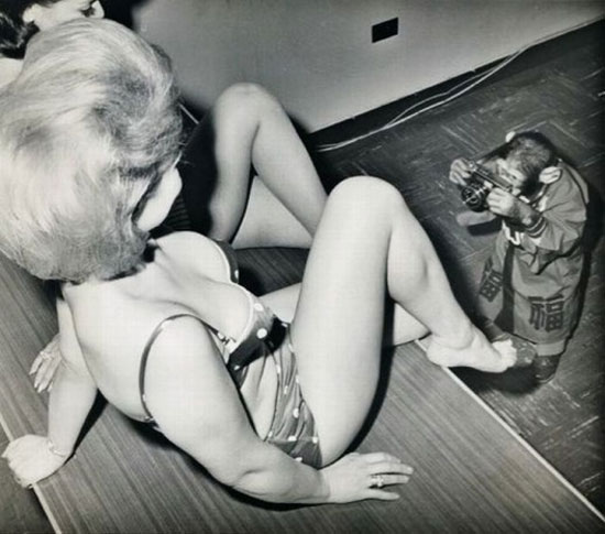 playboy photograph ndash skipy