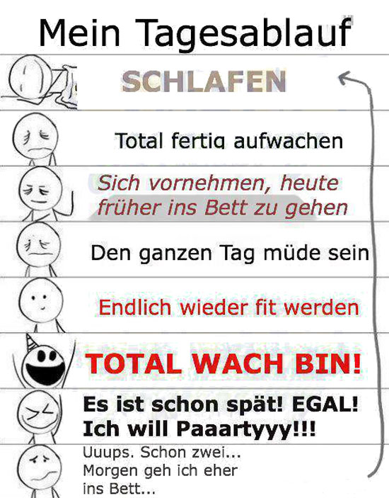 Mein Tagesablauf...