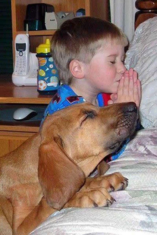 pray