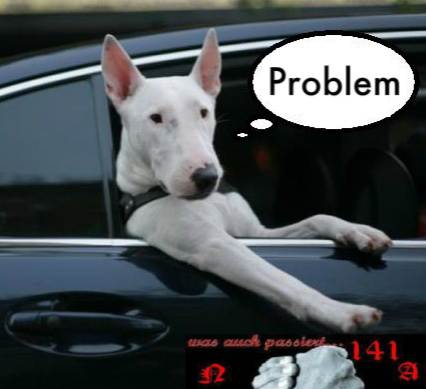 Problem