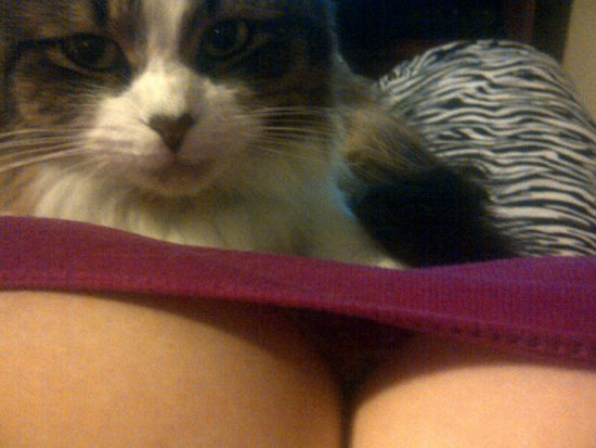 pss n b00bs