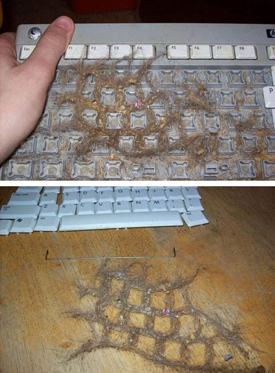 putzt mal eure tastatur