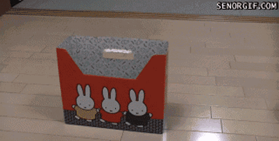 Jump in :D