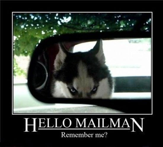 remember me