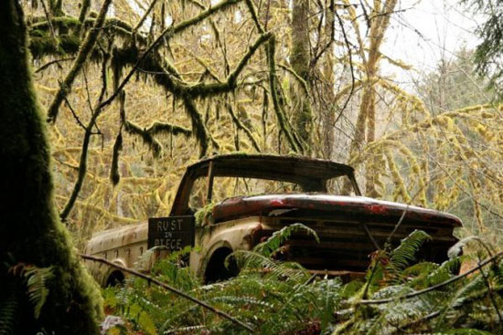 rust in peace