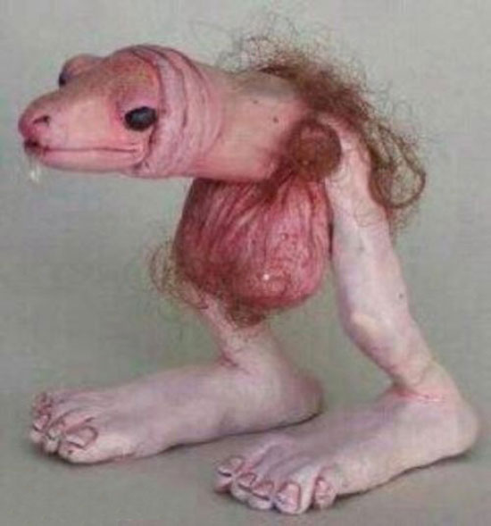 sackgesicht