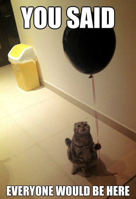 Sad Cat