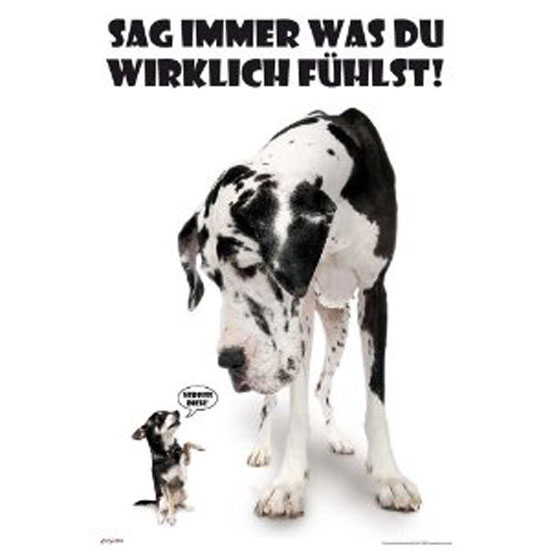 Sag immer was du wirklich fühlst