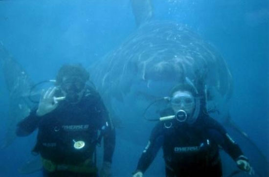 say cheese underwater