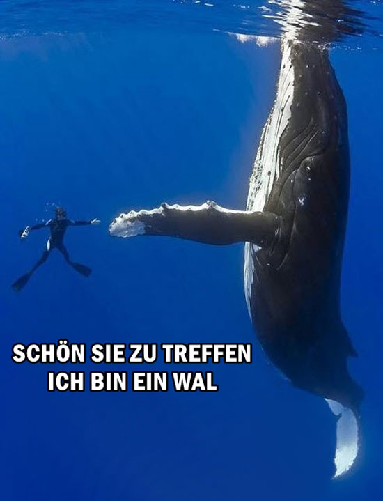 Schön Sie zu treffen...