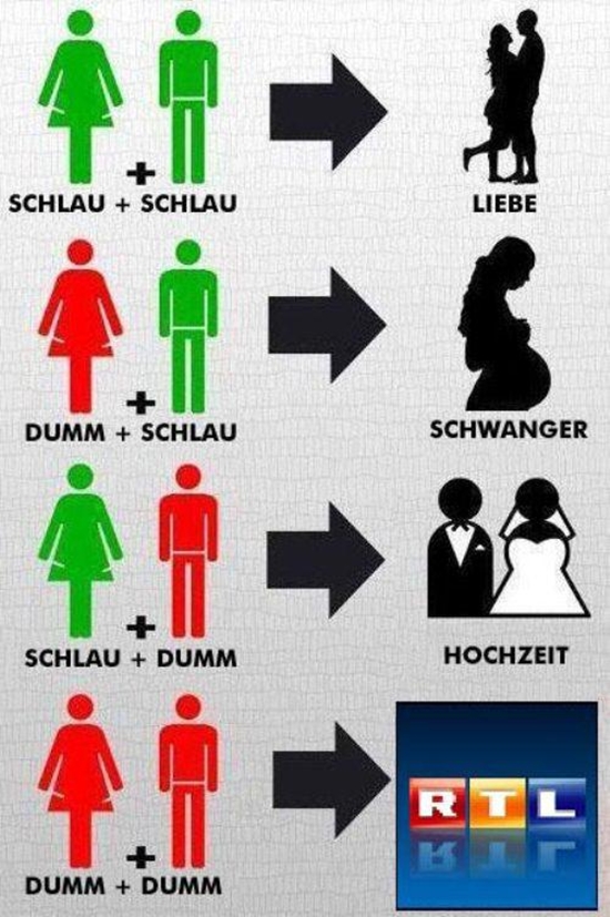 Schlau und Dumm Varianten - Win Bild