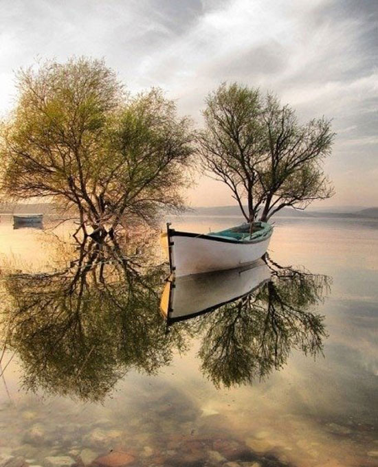 schoene reflexion