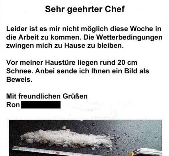 sehr geehrter chef