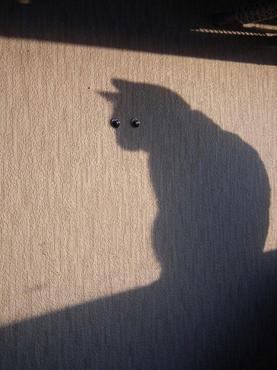 ShadowCat