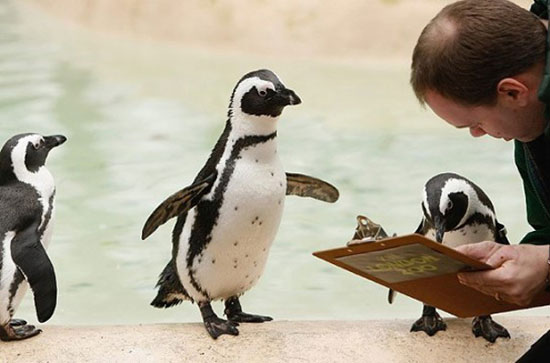 sign here and here please