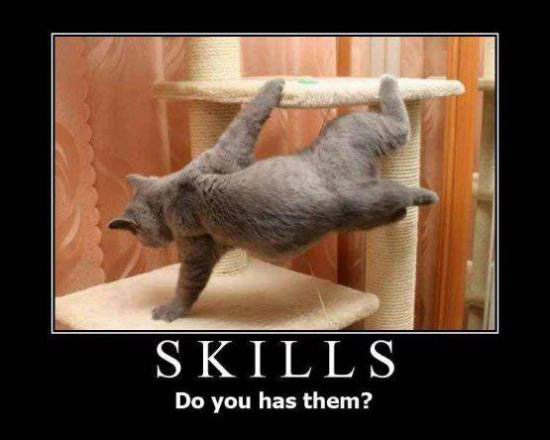 skills do you have them