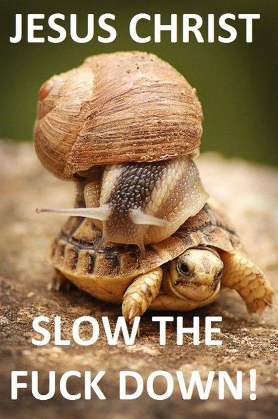 slow down