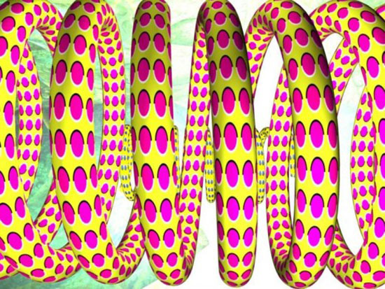 snake illu