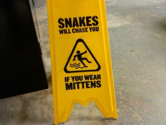 snake will chase you
