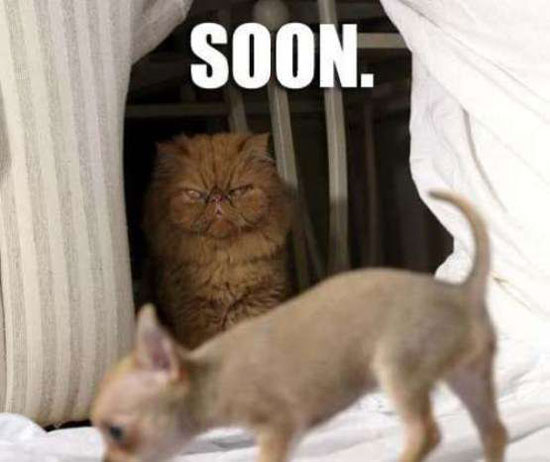 soon