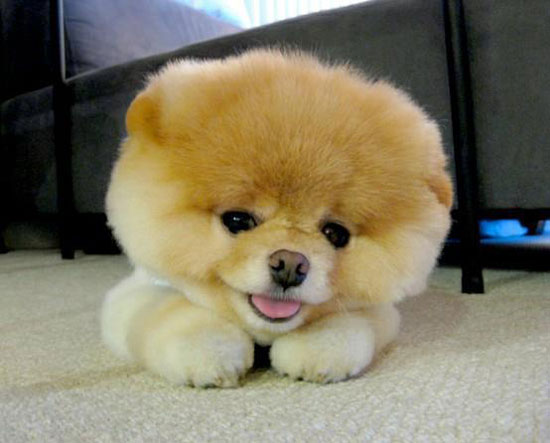 soooo cute