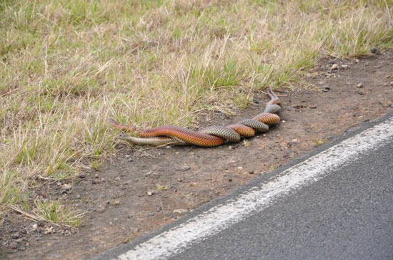 ssssssssexxxxx