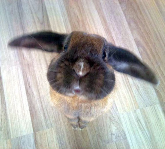 stop looking at me like that