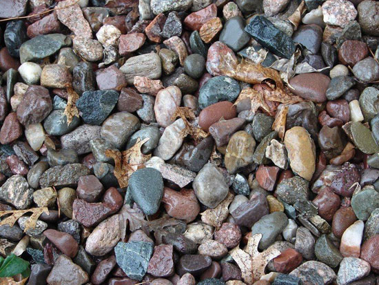 suchbild